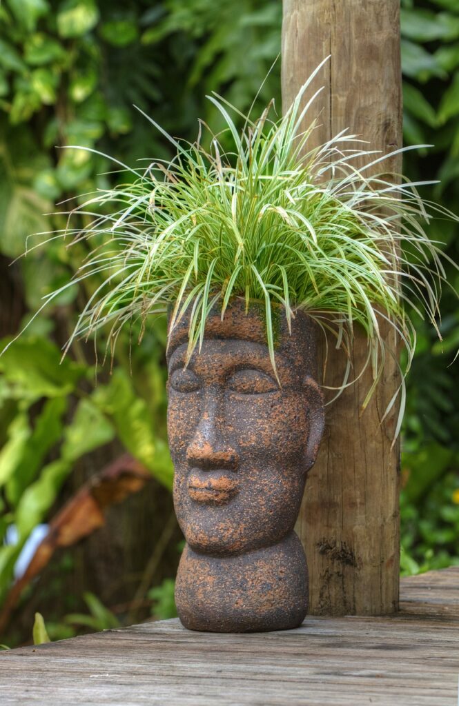 pot head, polynesian, plant